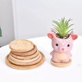 Bamboo Round Coaster Tray