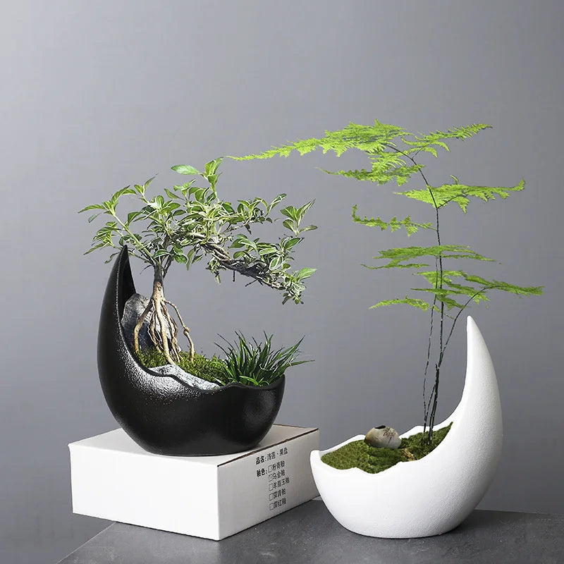 Rhino Horn Ceramic Desk Planter