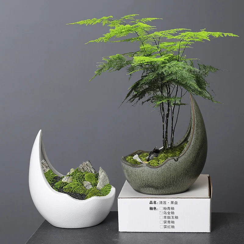 Rhino Horn Ceramic Desk Planter